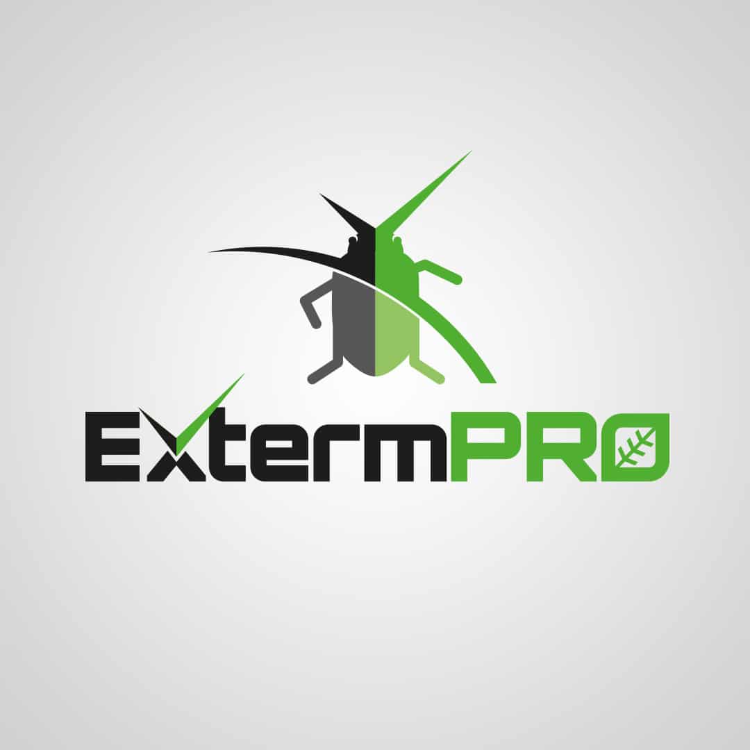 Household Products that Can Kill Pests · ExtermPRO