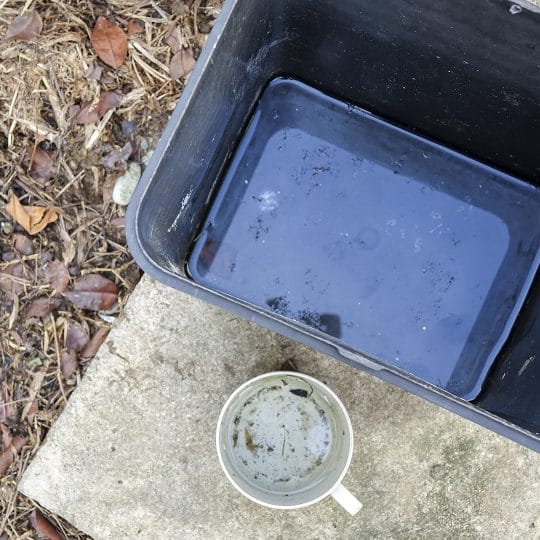 Sitting Water: Where You’ll Find Mosquito Eggs