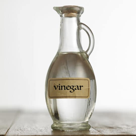 vinegar to get rid of spiders