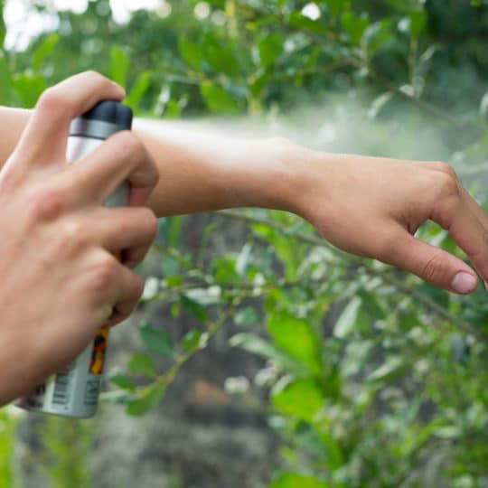 How Do Mosquito Repellents Work?