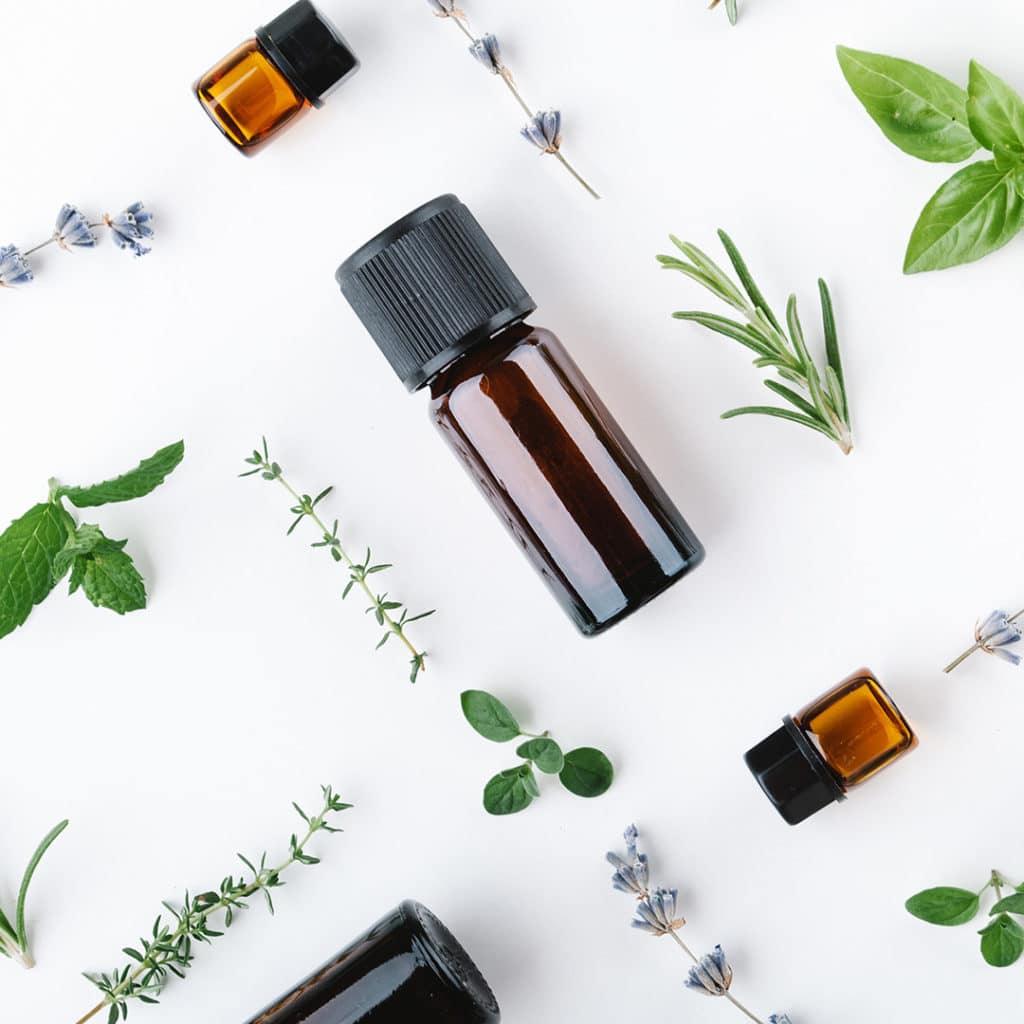 oil to get rid of spiders