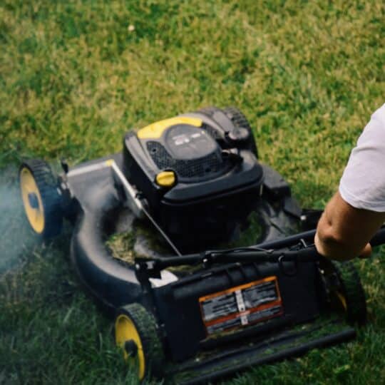 How Lawn Mowing Can Prevent Some Residential Pest Control Problems